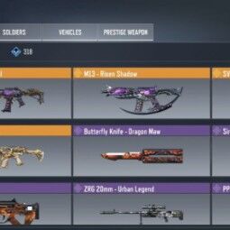 Level 350  | Legend Gun:(M4)(M13)(SVD)(LK24)   | Lot Of Skin | CA10 2